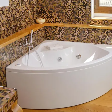 酒店 梅迪奇酒店 米拉佐