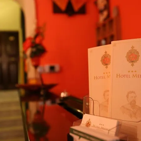 酒店 梅迪奇酒店