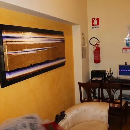 梅迪奇酒店 酒店 3*