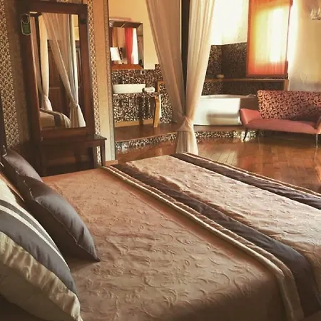 梅迪奇酒店 3* 米拉佐