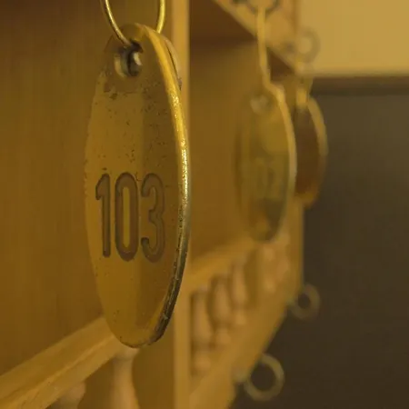 梅迪奇酒店 米拉佐